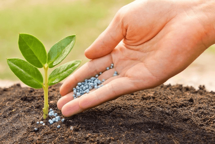 Entregas de fertilizantes no mercado brasileiro cresceram 12,5%